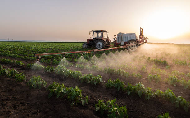 Professional Pest Control in Jacksonville, AR