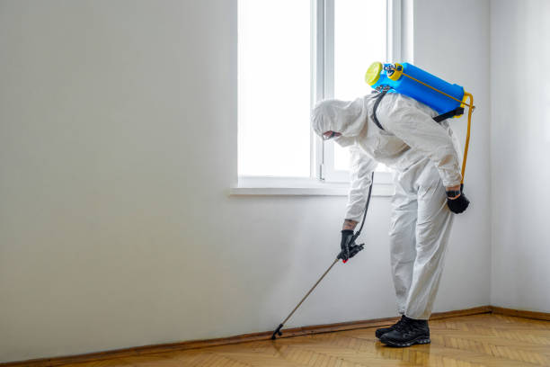 Best Pest Control Treatment  in Jacksonville, AR