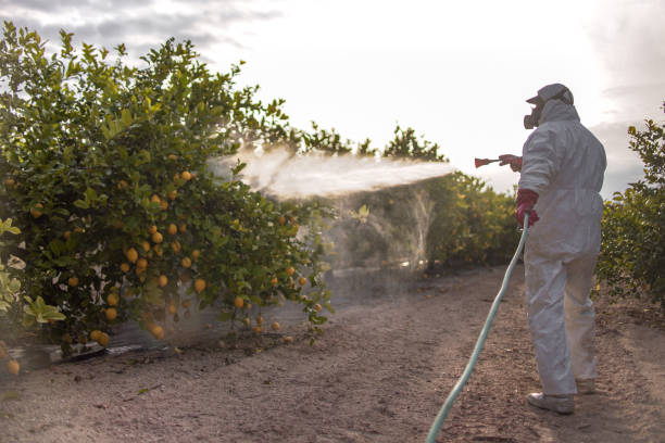 Best Pest Prevention Services  in Jacksonville, AR