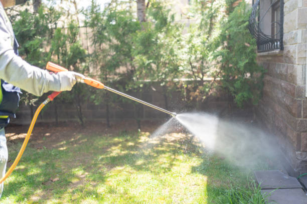 Best Termite Control Services  in Jacksonville, AR
