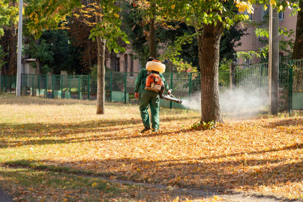 Best Residential Pest Control  in Jacksonville, AR