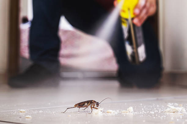 Best Affordable Pest Control Services  in Jacksonville, AR