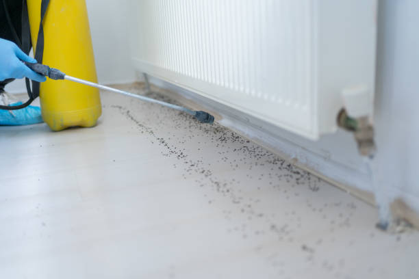 Jacksonville, AR Pest Control Company