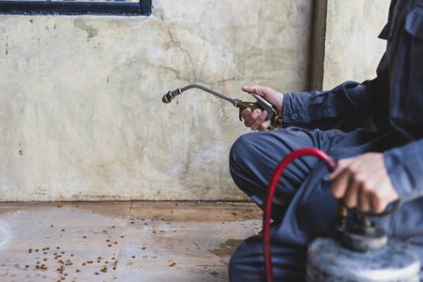 Best Pest Control for Homes  in Jacksonville, AR