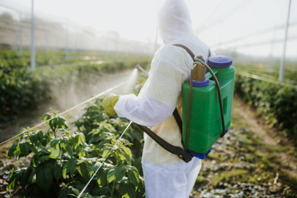 Pest Control Cost in Jacksonville, AR